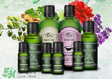 阿芙精油可以去痘印嗎？阿芙精油能不能去痘?。?></p><h3>阿芙茶樹精油怎么用</h3><h4>臉部保養(yǎng)</h4><p>1、直接點(diǎn)涂</p><p>茶樹精油是可以直接點(diǎn)涂在皮膚上的單方精油，用干凈的棉簽蘸取少量阿芙茶樹精油，直接點(diǎn)涂于痘痘處，痘痘會慢慢消退。</p><p>2、和護(hù)膚品混合</p><p>將1滴阿芙茶樹精油滴入爽膚水、乳液、精華、面霜等護(hù)膚品中，混合均勻后涂抹在臉上，可以收縮毛孔。</p><p>3、和面膜混合</p><p>將1滴阿芙茶樹精油滴入面膜中敷臉，可以調(diào)節(jié)肌膚油脂分泌，收縮毛孔，修復(fù)細(xì)胞。</p><p>4、面部按摩</p><p>將1滴阿芙茶樹精油、1滴洋甘菊精油、1滴薰衣草精油、10ml葡萄籽油混合均勻，用來按摩面部，可以幫助排毒。</p><p style=