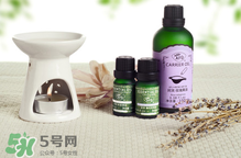 阿芙精油可以去痘印嗎？阿芙精油能不能去痘?。?></strong><br/></p><h4>身體保養(yǎng)</h4><p>1、泡澡</p><p>在浴缸中加入5~6滴阿芙茶樹精油，攪拌均勻，然后像平時(shí)一樣泡澡，可以有效控油，讓肌膚清新滑爽。</p><p>2、泡腳</p><p>在一盆熱水中加入2~3滴阿芙茶樹精油，攪拌均勻，用來泡腳10分鐘，可以有效治療香港腳。</p><p>3、涂在灰指甲上</p><p>在灰指甲上滴1滴阿芙茶樹精油，堅(jiān)持使用，漸漸就會有健康的指甲長出來。</p><p>4、漱口</p><p>在一杯溫開水中加入1~2滴阿芙茶樹精油，攪拌均勻，用來漱口，可以改善牙齦出血、腫痛。</p><h4>消毒熏香</h4><p>1、熏香</p><p>在熏香爐中加入2~3滴阿芙茶樹精油，既可以讓香氣散發(fā)在室內(nèi)，還可以凈化空氣中的細(xì)菌、病毒和蚊蟲。</p><p>2、洗內(nèi)衣</p><p>洗內(nèi)衣時(shí)，在水里加入3~4滴阿芙茶樹精油，能夠有效殺滅細(xì)菌病毒、去除異味，預(yù)防感染婦科炎癥。</p><p>3、家庭清潔</p><p>在一桶清水中加入6滴阿芙茶樹精油，可用來洗抹布、碗盤、擦地板、擦桌子等，有助于殺菌，并消除污垢。</p> </div>
<div align=