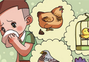 如何區(qū)分感冒和禽流感？禽流感和感冒的區(qū)別