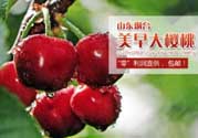 美早和黑珍珠哪個好吃？美早和黑珍珠的區(qū)別