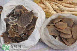 穿山甲下奶怎么吃？穿山甲下奶效果好嗎？