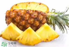 菠蘿批發(fā)多少錢一斤？菠蘿批發(fā)價(jià)格