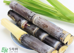 甘蔗為什么會變黑？甘蔗放久了為什么會變黑？