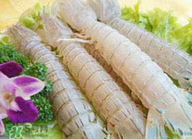 皮皮蝦為什么沒有肉？皮皮蝦為什么里面沒肉？