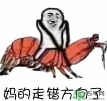 說(shuō)人皮皮蝦是什么意思？女生叫男生皮皮蝦什么意思？