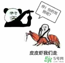 皮皮蝦為何突然火了？皮皮蝦怎么火的？