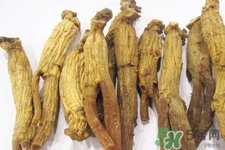 高麗參適合什么人吃？什么人不能吃高麗參？