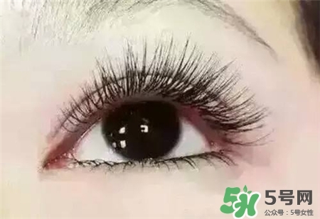 孕睫術是什么？孕睫術有用嗎？
