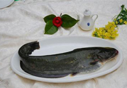 清江魚(yú)熱量高嗎？吃清江魚(yú)會(huì)胖嗎？