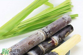 甘蔗發(fā)霉能吃嗎？吃了發(fā)霉的甘蔗怎么辦？