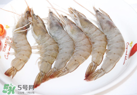 青蝦多少錢一斤？活青蝦多少錢一斤？