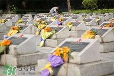 清明節(jié)能出游嗎？清明節(jié)可以出去旅游嗎？