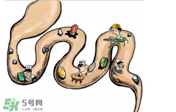 便秘吃什么藥好？便秘吃什么藥最快排便？