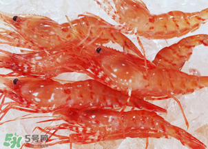 蝦凍了一年還能吃嗎？蝦凍了半年還能吃嗎？
