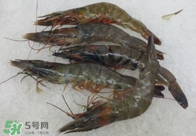 青蝦變黑了還能吃嗎？青蝦為什么變黑？