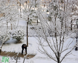 春天下雪意味著什么？春天為什么會下雪？