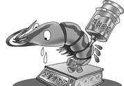 活蝦灌膠水是真的嗎？活蝦灌膠水人吃了會有什么害處？