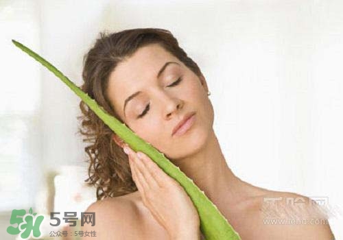 蘆薈涂在臉上發(fā)癢是怎么回事？蘆薈涂在臉上發(fā)癢怎么辦？