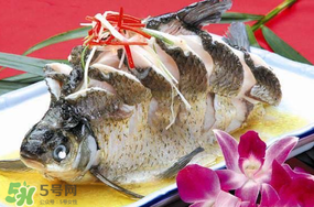 魚有禽流感嗎？吃魚會得禽流感嗎？