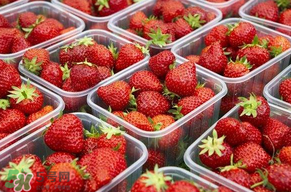 草莓爛了點皮可以吃嗎？草莓表皮發(fā)白是爛了嗎？