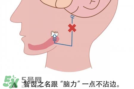 智齒會(huì)一直長(zhǎng)嗎？智齒會(huì)停止生長(zhǎng)嗎？