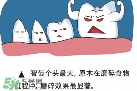 智齒經(jīng)常發(fā)炎怎么辦？智齒反復發(fā)炎腫痛怎么辦？