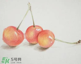 櫻桃有點苦怎么回事？櫻桃有點苦可以吃嗎？