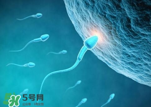 如何提高精子質(zhì)量與成活率？精子質(zhì)量怎么調(diào)理？