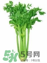 負卡路里的食物有哪些？負卡路里食物真的吃不胖嗎？