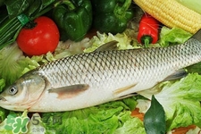 草魚能生吃嗎？草魚可以直接生吃嗎？