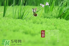 驚蟄吃什么蔬菜好？驚蟄節(jié)氣養(yǎng)生吃什么蔬菜？