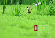 驚蟄吃什么蔬菜好？驚蟄節(jié)氣養(yǎng)生吃什么蔬菜？