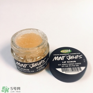 lush唇部磨砂膏怎么用？lush唇部磨砂膏使用方法
