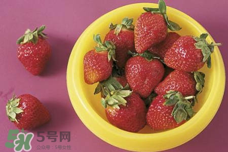 4月份可以摘草莓嗎？四月份有草莓可以摘嗎？