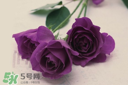 4月份適合種什么花？四月份種什么花好？