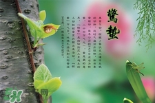 驚蟄節(jié)氣要注意什么？驚蟄節(jié)氣養(yǎng)生注意事項(xiàng)