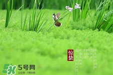 驚蟄如何養(yǎng)生？驚蟄前后如何養(yǎng)生？