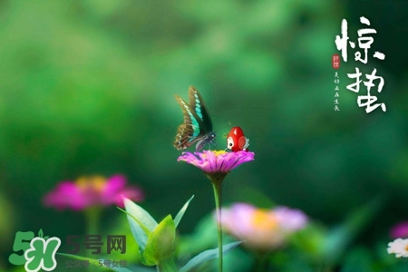 驚蟄如何養(yǎng)生？驚蟄前后如何養(yǎng)生？