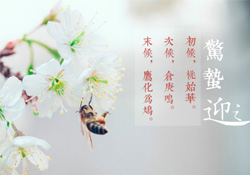 驚蟄怎么打小人？驚蟄如何打小人？