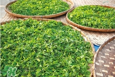 4月份喝什么茶好？四月份適合喝什么茶？
