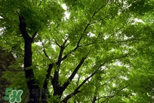 3月份能暖和嗎？一般幾月份開始天氣變暖？