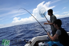 三月份可以釣魚了嗎？三月份好釣魚嗎？