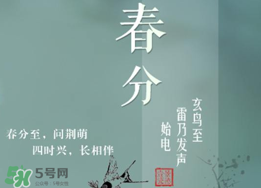 春分種什么菜？春分適合種什么菜？