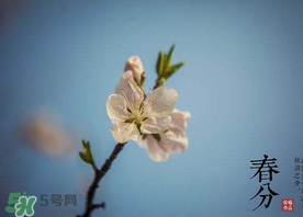 春分種什么菜？春分適合種什么菜？
