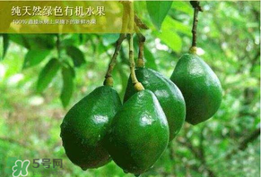 牛油果可以放多久？牛油果放冰箱能放多久？
