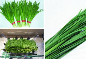 驚蟄前后可以種什么？驚蟄前后種什么蔬菜？