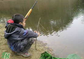 驚蟄能釣魚嗎？驚蟄釣什么魚好？