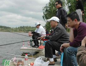 驚蟄過后好釣魚嗎？驚蟄后陰雨天好釣魚嗎？