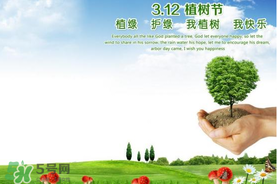 植樹節(jié)為什么要種樹？植樹節(jié)種樹的意義