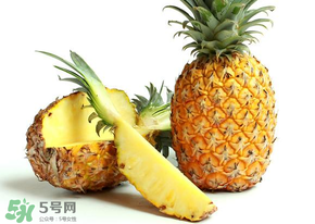 三月份什么水果上市？3月份什么水果上市？